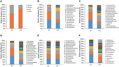 Metagenomic analysis of gut microbiota and antibiotic-resistant genes in Anser erythropus wintering at Shengjin and Caizi Lakes in China